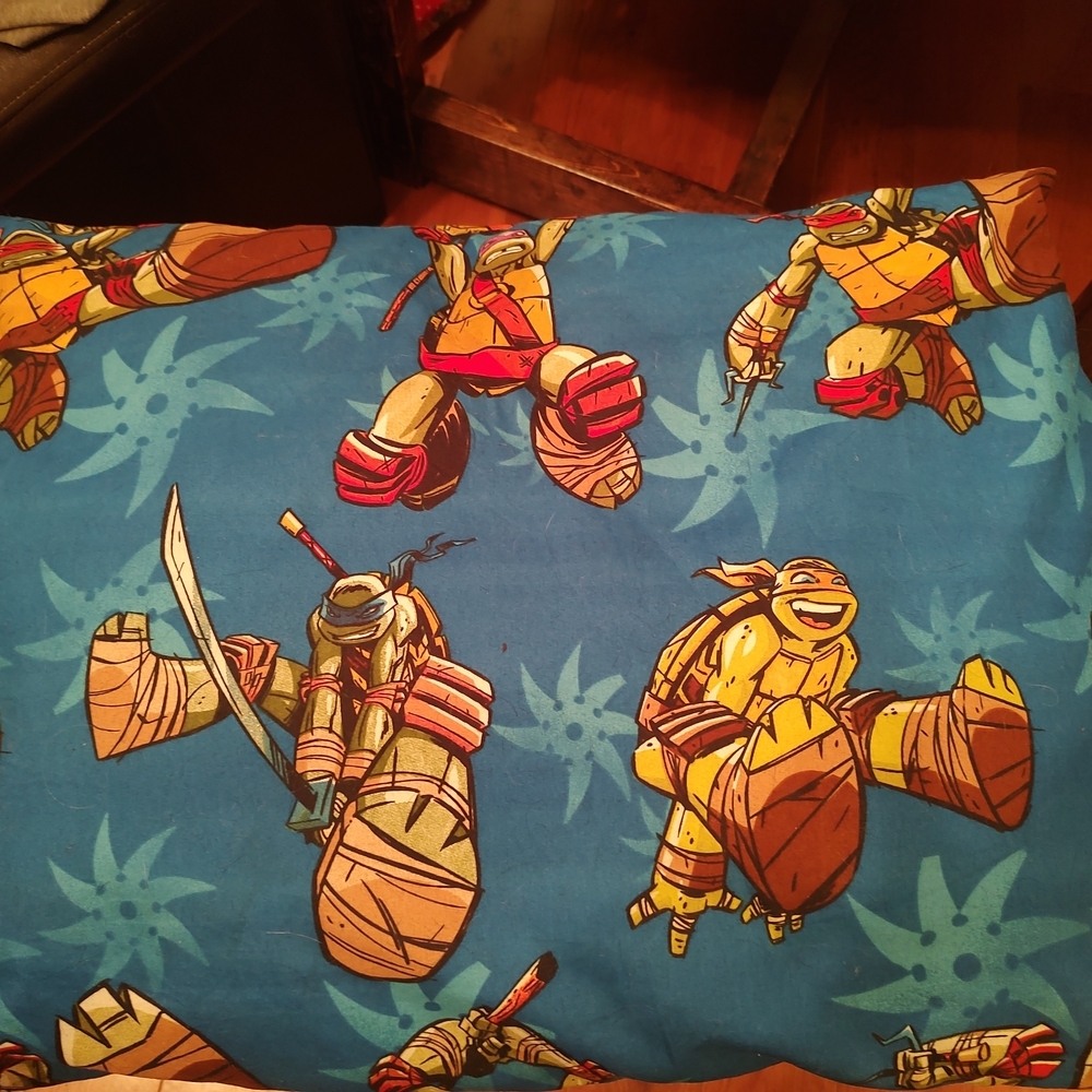 Nickelodeon Teenage Mutant Ninja Turtles Pillow